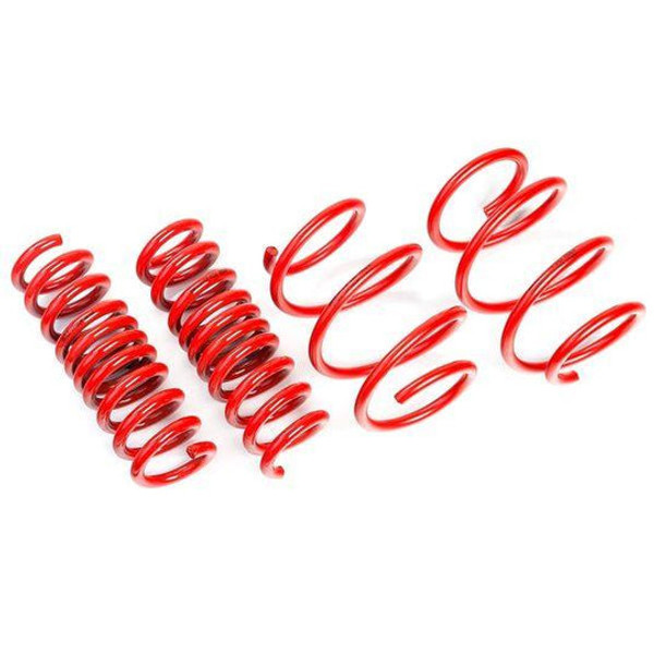 AST Suspension Tesla Model 3 Long Range AWD Lowering Springs - 40mm - ASTLS-19-205