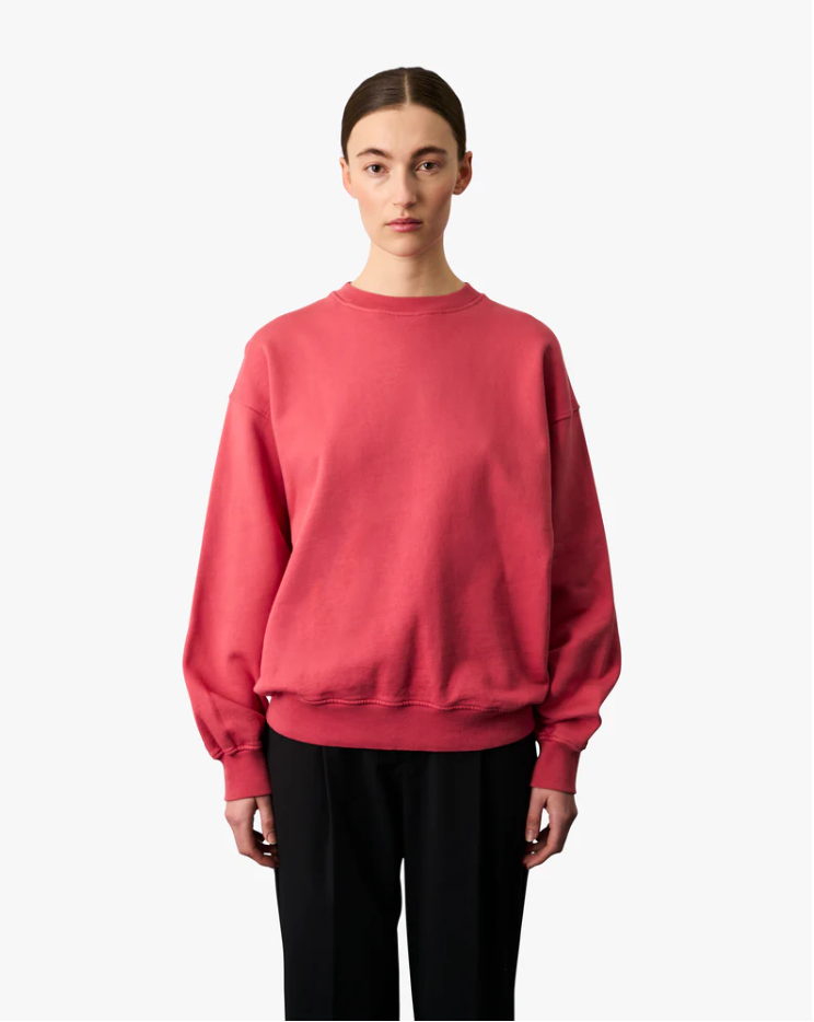 Colourful Standard Oversized Crewneck Weinberg's Good Food