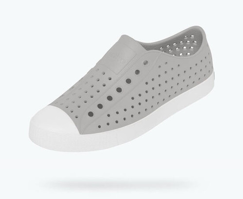 Jefferson Pigeon Grey Shell White Adult