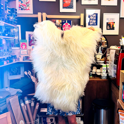 Icelandic Sheepskin - Black Eyebrow