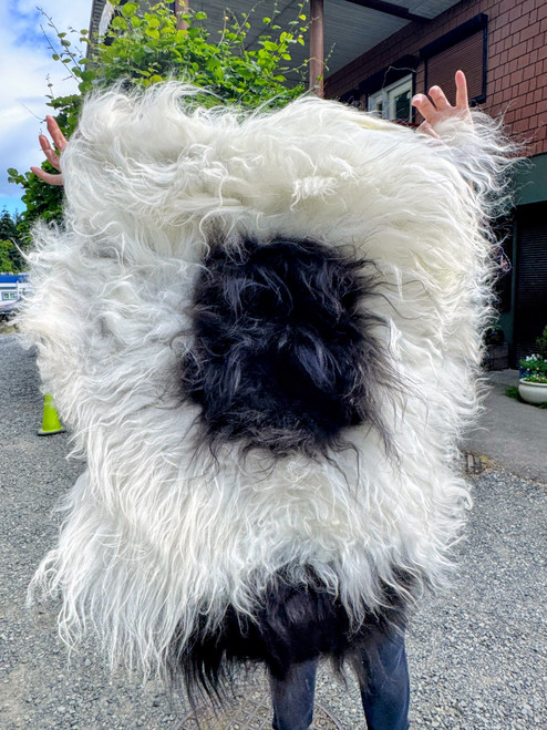 Icelandic Sheepskin - Mr Polka Dot