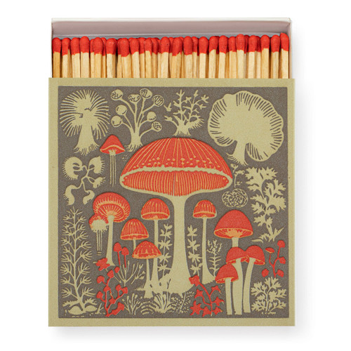 Mushrooms | Square - Safety Matches