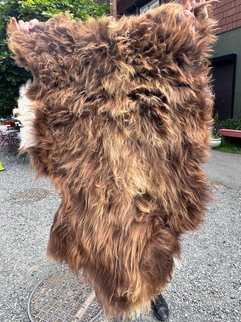 Icelandic Sheepskin - Chocolate Mousse