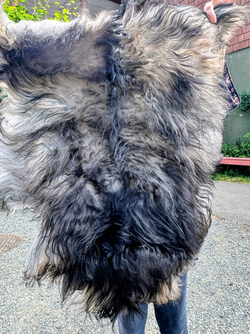 Icelandic Sheepskin - Stormy