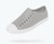 Jefferson Pigeon Grey Shell White Adult