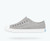 Jefferson Pigeon Grey Shell White Adult