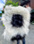 Icelandic Sheepskin - Mr Polka Dot