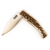 PALLARES BUSA KNIFE 8 CM -  DEER HORN HANDLE -  STAINLESS STEEL”
