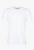 Colorful Standard Classic Organic Tee - Unisex