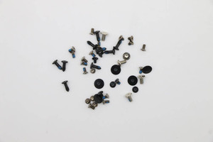Lenovo Screw Kit (LSC2161)