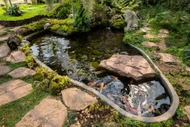 Small Pond Ideas: 5 stunning designs for your garden