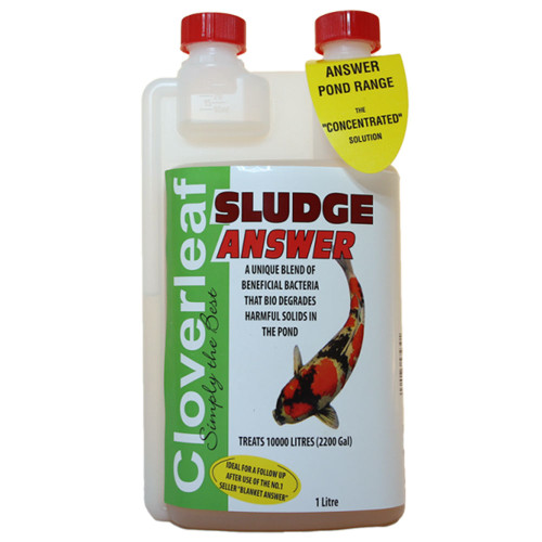 Cloverleaf Sludge Answer Cloverleaf Sludge Answer
