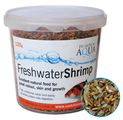 Evolution Aqua Freshwater Shrimps Evolution Aqua Freshwater Shrimps