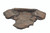 Rockways Niagara Slate Brown Watercourse - Slate Shelf With Overhang, Bottom Section