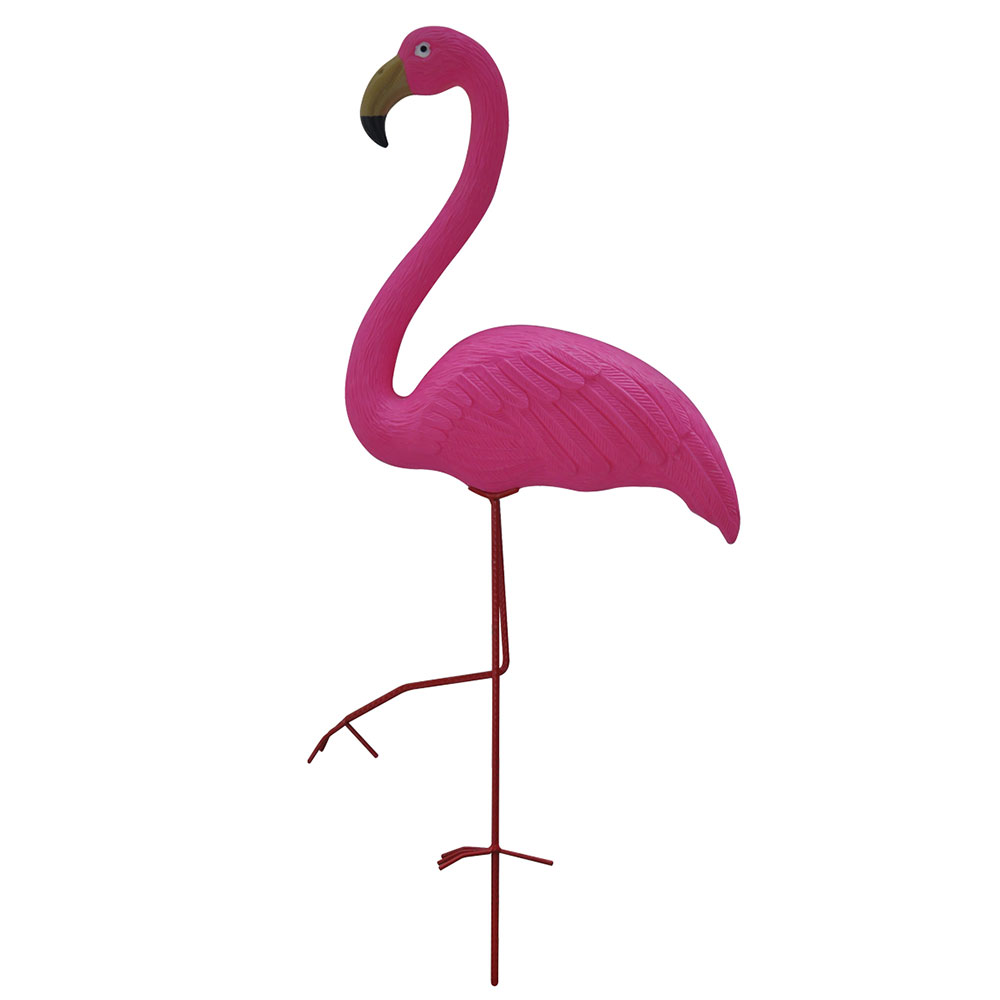 Bermuda Pink Flamingo Bradshaws Direct