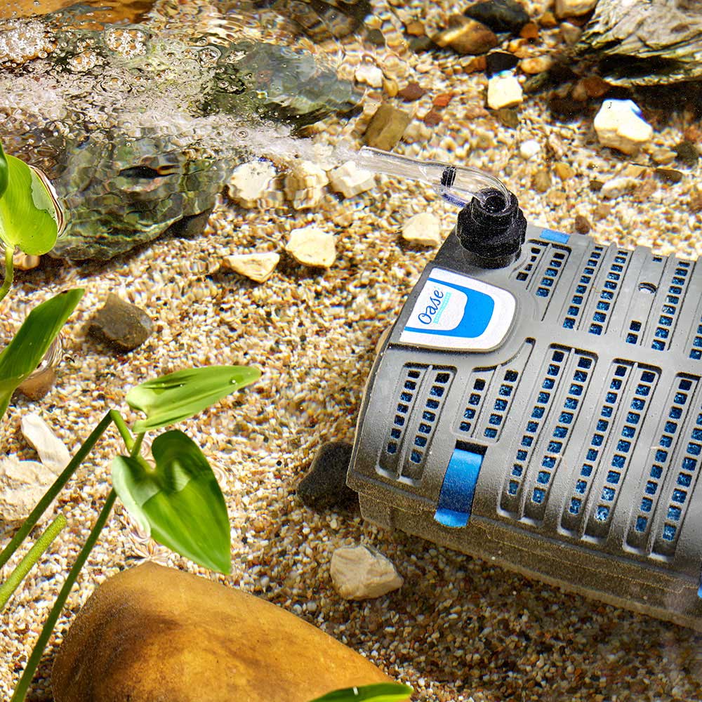 Add Oxygen to Your Pond with the Filtral and Accompanying Aeration Set Add Oxygen to Your Pond with the Filtral and Accompanying Aeration Set