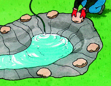 How to Build a Pond Part 4 - Green Water Problems