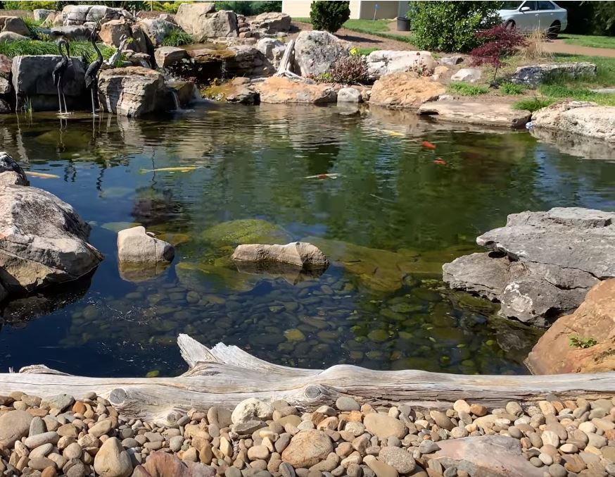 Amazing Award Winning Pond