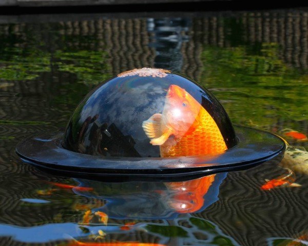 Velda Floating Fish Dome