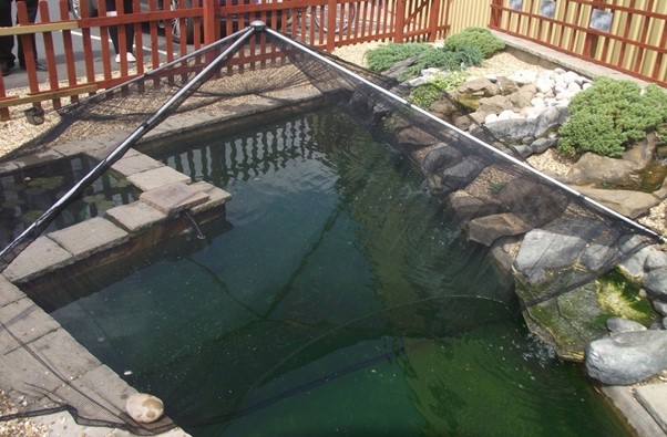 Covering Your Pond In Winter