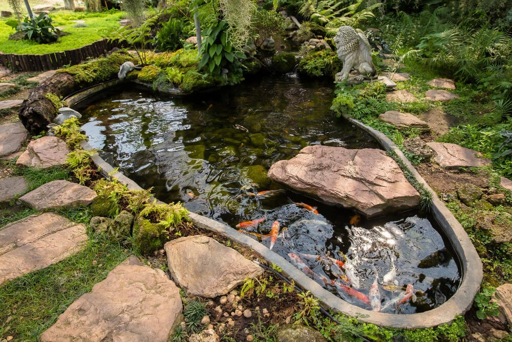 Small Pond Ideas: 5 stunning designs for your garden