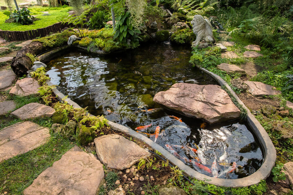 Small Pond Ideas: 5 stunning designs for your garden