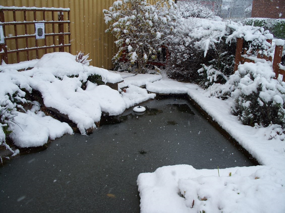 Ready for the Freeze?