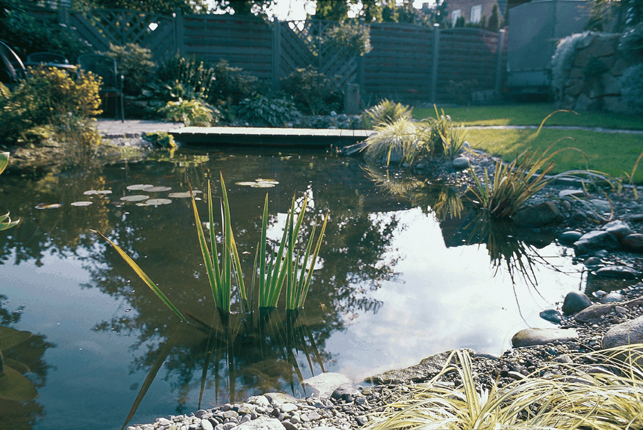 Getting your Pond Ready for Spring and Summer