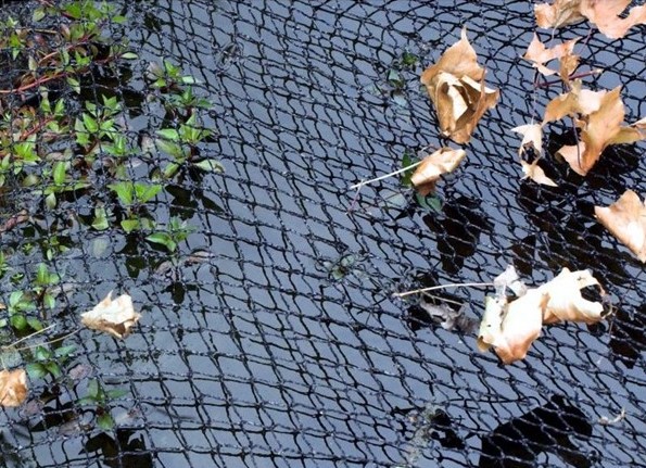 Covering Your Pond in Autumn and Winter - Bradshaws Direct