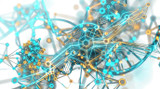 Growth Hormone Releasing Peptide 2: Fact vs. Fiction