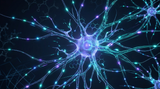 The Frontiers of Neuro-Optimisation: Research Reagents for Neurogenesis and Synaptic Plasticity