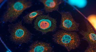 Scientific Analysis of MOTS-c: Mitochondrial-Derived Peptide Research