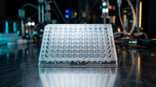 Why Labs Demand 99% Purity in Research Peptides