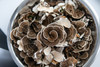 Turkey Tail Mushroom Powder