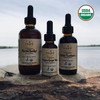 Reishi Triple Extraction Full Spectrum Tincture