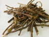 Cryptolepis Root Capsules