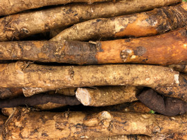 Burdock Root Powder