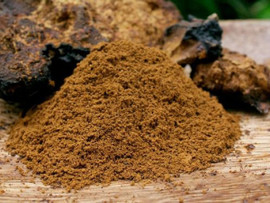 Chaga Mushroom Powder