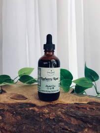 Barberry Alcohol Free Tincture
