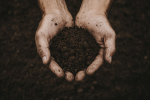 What is fulvic and humic acid?