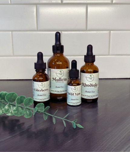 5 Mushroom Alcohol Free Tincture