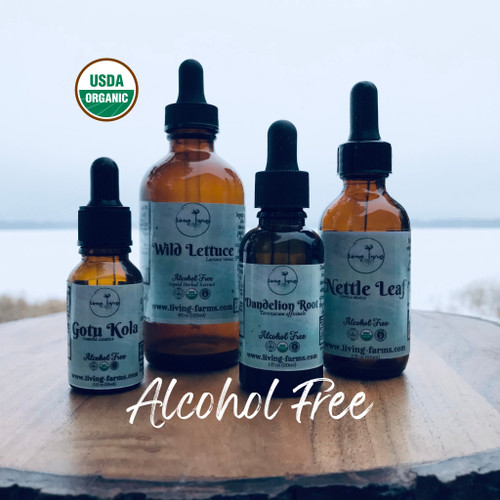 Black Walnut Alcohol Free Tincture