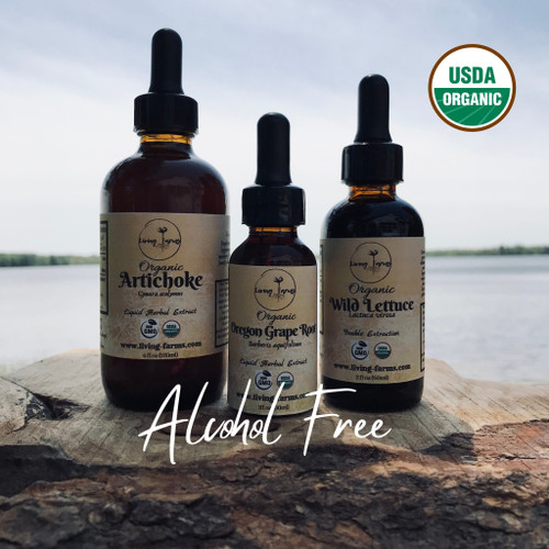 Peppermint Alcohol Free Extract