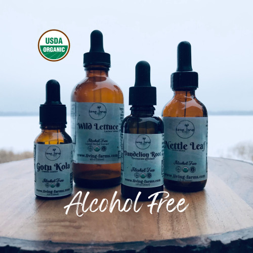 Saw Palmetto Alcohol Free Extract