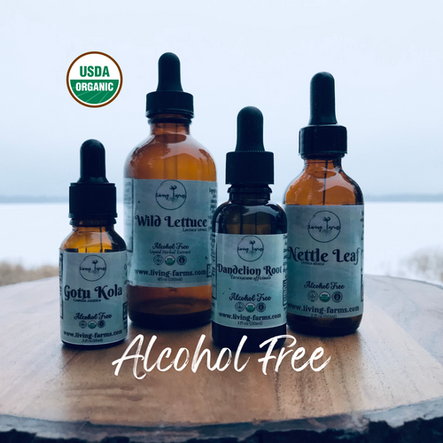 Rhodiola Alcohol Free Tincture