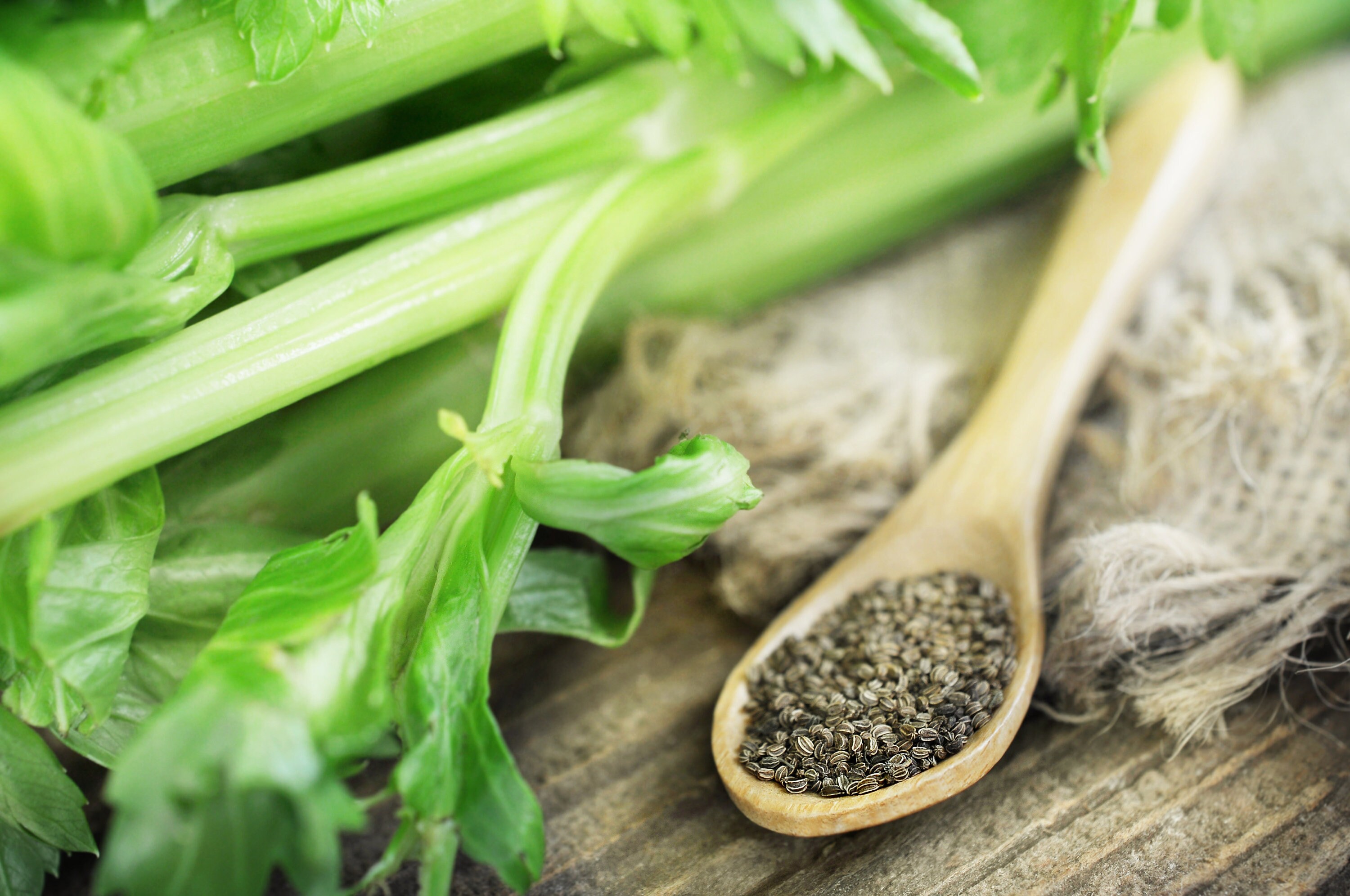 Celery Seed Alcohol Free Tincture Living Farms