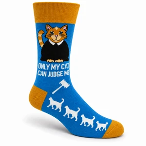Cat Judge — Main