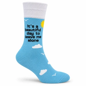 Its a Beautiful Day to Lv Me Alone Socks For Women — Main
