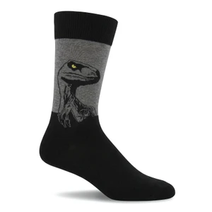 Raptor Socks For Men — AI-generated product image