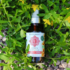 Arnica Capsicum Liniment - 4 oz, Four Elements Herbals Arnica Capsicum Liniment - 4 oz, Four Elements Herbals